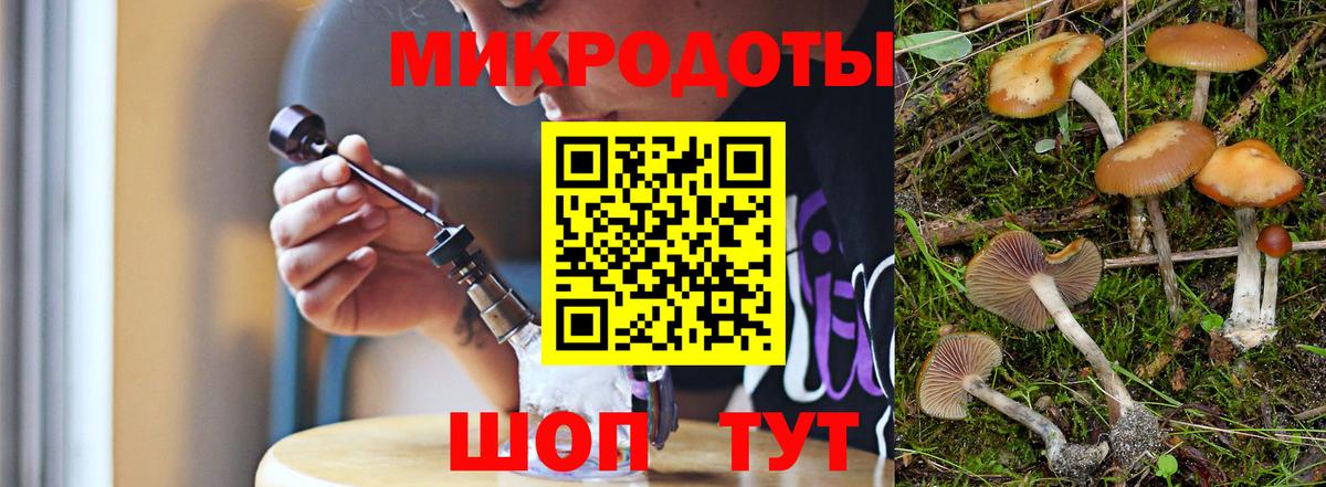 Галлюциногенные грибы GOLDEN TEACHER  Галлюциногенные грибы Cubensis  Вход с VPN  Норильск 